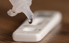 Ómicron: ¿Cuál es el período de incubación y qué diferencias tiene con las otras variantes de covid-19?