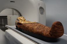 Arqueólogos resuelven misterio de una momia egipcia de 3.000 años 